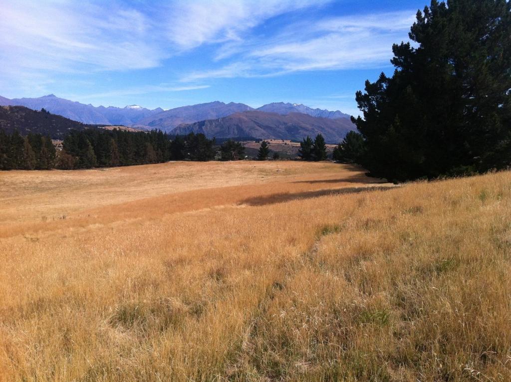 Riverrun Wanaka Kültér fotó